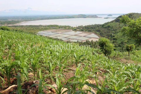 16000m2 Land in Indonesia No. 7827 6