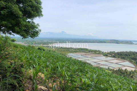16000m2 Land in Indonesia No. 7827 2