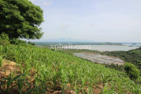 16000m2 Land in Indonesia No. 7827 5