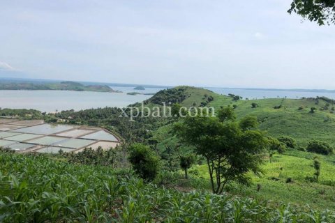 16000m2 Land in Indonesia No. 7827 15