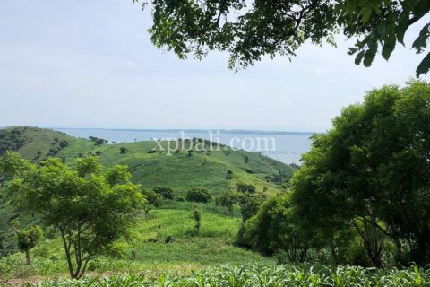 16000m2 Land in Indonesia No. 7827 17