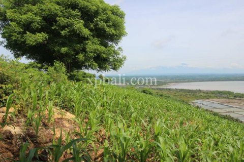 16000m2 Land in Indonesia No. 7827 12