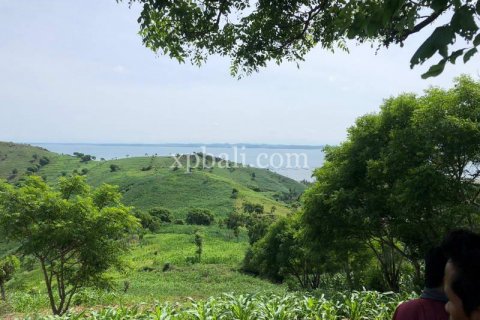 16000m2 Land in Indonesia No. 7827 21