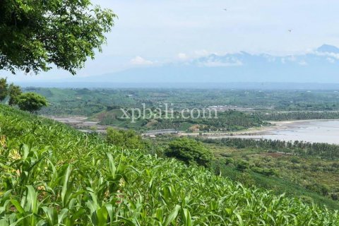 16000m2 Land in Indonesia No. 7827 20