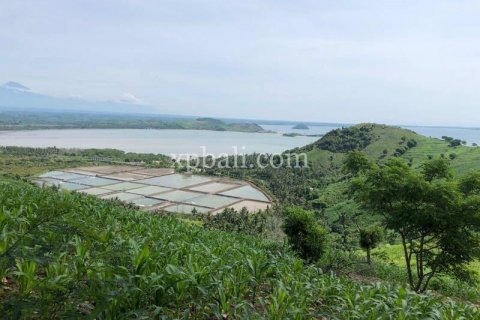 16000m2 Land in Indonesia No. 7827 16