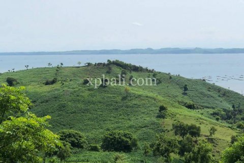 16000m2 Land in Indonesia No. 7827 18