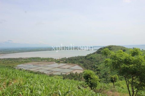 16000m2 Land in Indonesia No. 7827 10