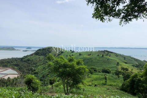 16000m2 Land in Indonesia No. 7827 19