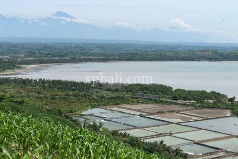 16000m2 Land in Indonesia No. 7827 14