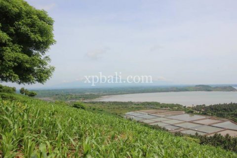16000m2 Land in Indonesia No. 7827 11