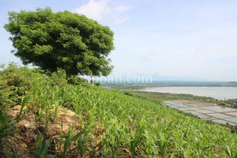 16000m2 Land in Indonesia No. 7827 4