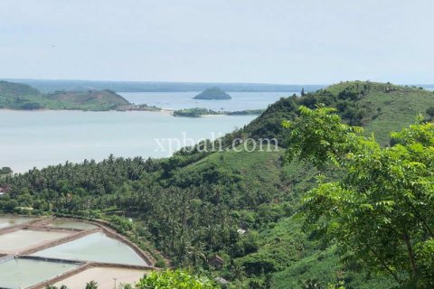 16000m2 Land in Indonesia No. 7827 3