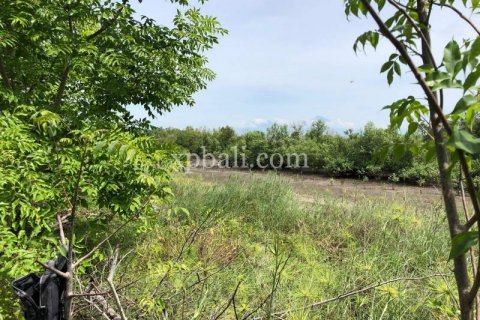 17000m2 Land in Indonesia No. 7826