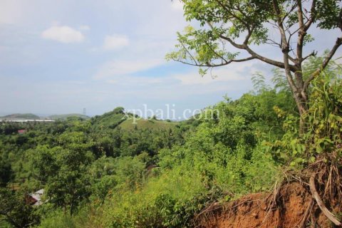 12000m2 Land in Indonesia No. 7830 8