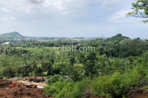12000m2 Land in Indonesia No. 7830 12