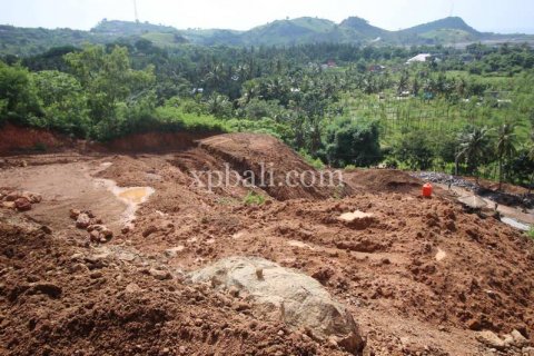 12000m2 Land in Indonesia No. 7830 4