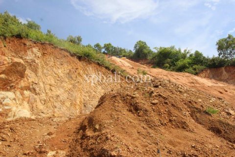 12000m2 Land in Indonesia No. 7830 3