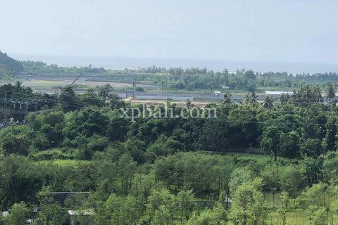 12000m2 Land in Indonesia No. 7830 13