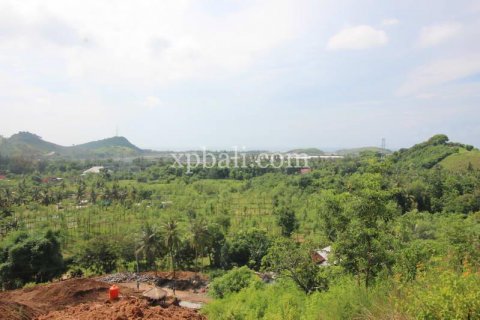 12000m2 Land in Indonesia No. 7830 6