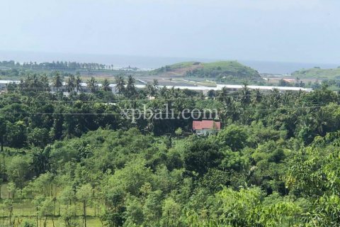 12000m2 Land in Indonesia No. 7830