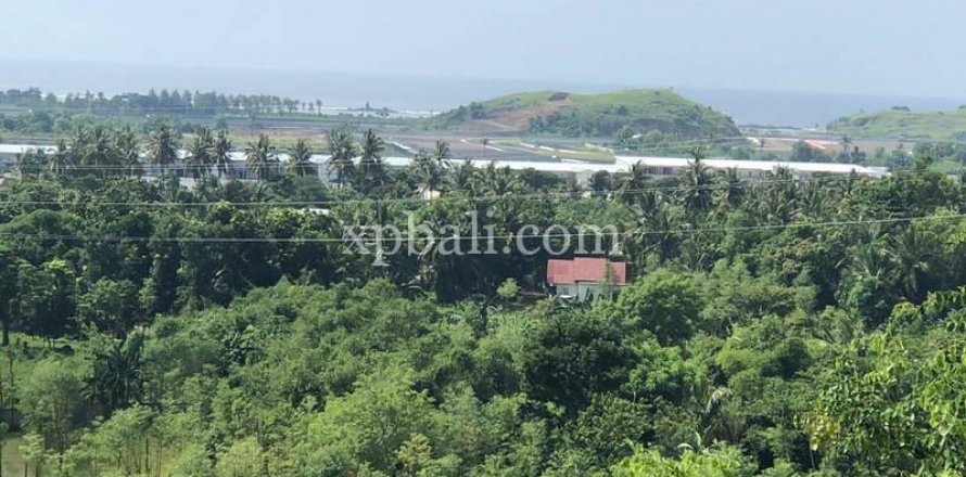 12000m2 Land in Indonesia No. 7830