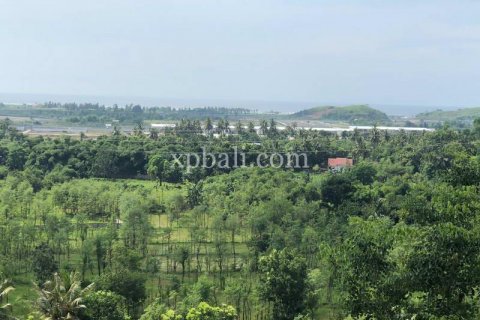 12000m2 Land in Indonesia No. 7830 11