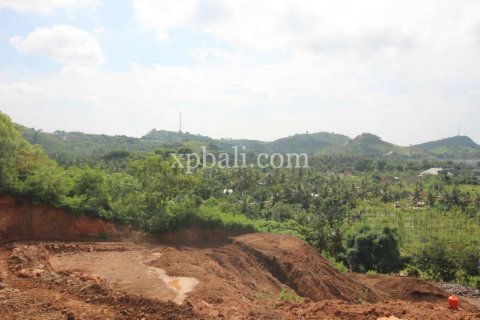 12000m2 Land in Indonesia No. 7830 7