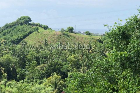 12000m2 Land in Indonesia No. 7830 9