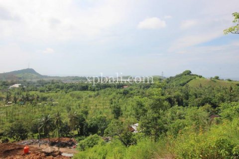 12000m2 Land in Indonesia No. 7830 5