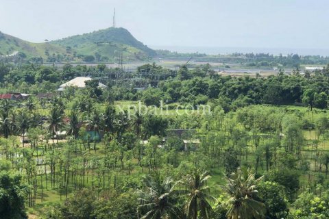 12000m2 Land in Indonesia No. 7830 10