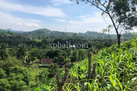 12000m2 Land in Indonesia No. 7830 14