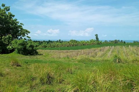 29000m2 Land in Tabanan, Indonesia No. 190