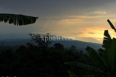 5000m2 Land in Lovina, Anturan, Buleleng, Indonesia No. 7885 9