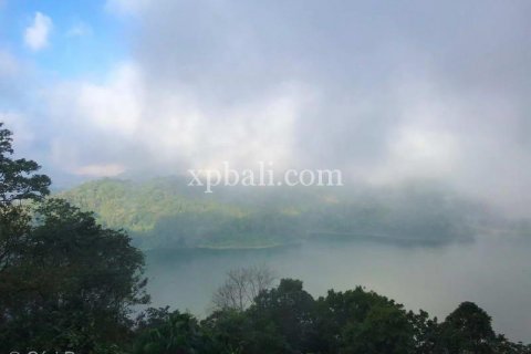 5000m2 Land in Lovina, Anturan, Buleleng, Indonesia No. 7885 8