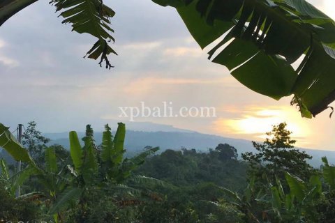 5000m2 Land in Lovina, Anturan, Buleleng, Indonesia No. 7885 10