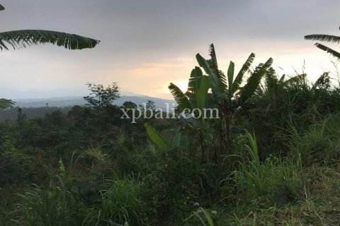 5000m2 Land in Lovina, Anturan, Buleleng, Indonesia No. 7885 3