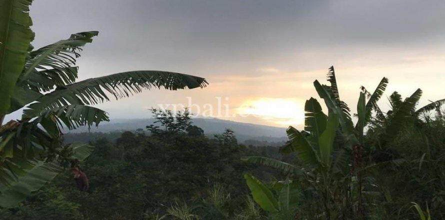 5000m2 Land in Lovina, Anturan, Buleleng, Indonesia No. 7885