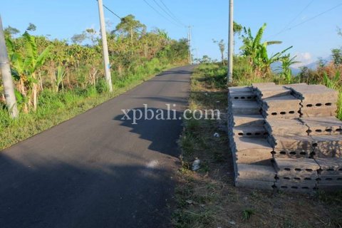 5000m2 Land in Lovina, Anturan, Buleleng, Indonesia No. 7885 11