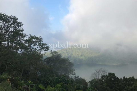 5000m2 Land in Lovina, Anturan, Buleleng, Indonesia No. 7885 6