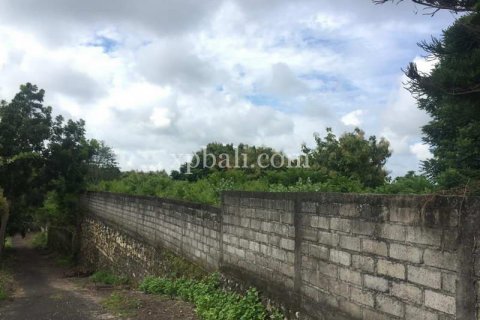 2160m2 Land in South Kuta, Badung, Indonesia No. 7886 7