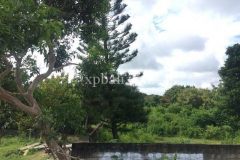 2160m2 Land in South Kuta, Badung, Indonesia No. 7886 8