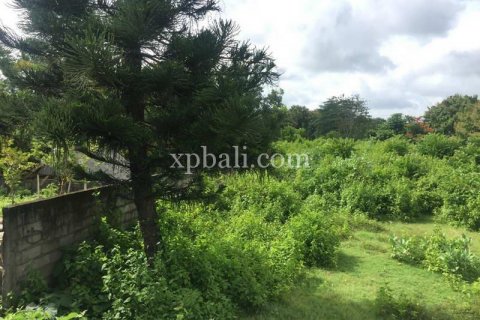 2160m2 Land in South Kuta, Badung, Indonesia No. 7886 10