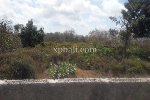 2160m2 Land in South Kuta, Badung, Indonesia No. 7886 4
