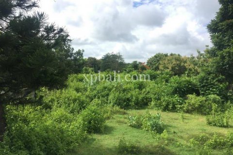 2160m2 Land in South Kuta, Badung, Indonesia No. 7886 6