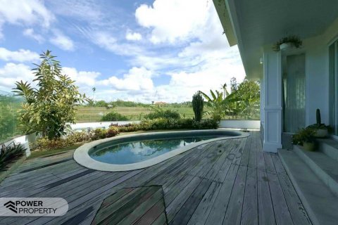5 bedrooms Villa in Canggu, Badung, Indonesia No. 7652 11