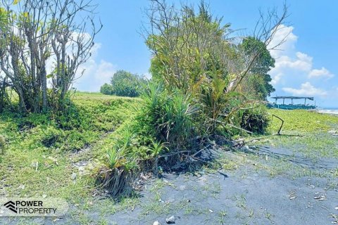 2630m2 Land in Tabanan, Indonesia No. 8850
