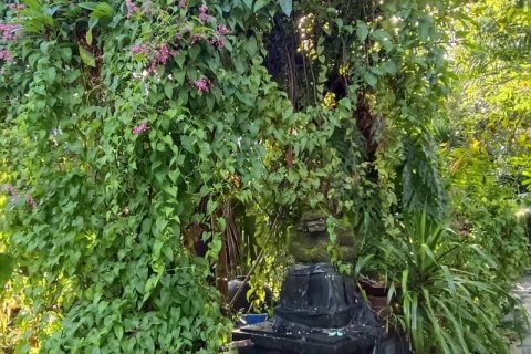 425m2 Land in Canggu, Badung, Indonesia No. 8862