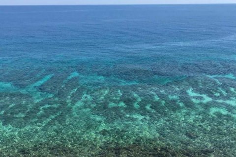 81000m2 Land in Labuan Bajo, West Manggarai, Indonesia No. 8861 13