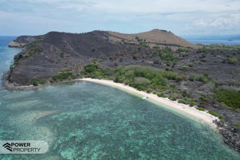 81000m2 Land in Labuan Bajo, West Manggarai, Indonesia No. 8861 7
