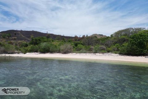 81000m2 Land in Labuan Bajo, West Manggarai, Indonesia No. 8861 9